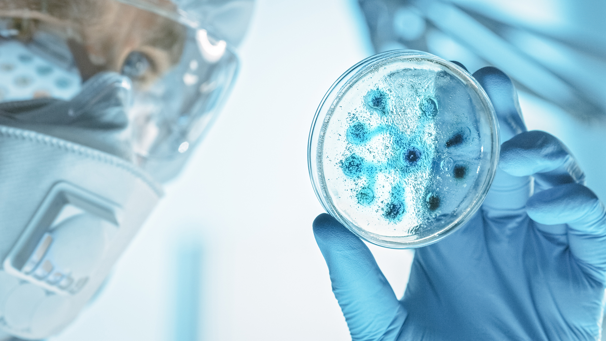 A scientist looking at a sample for drug product testing